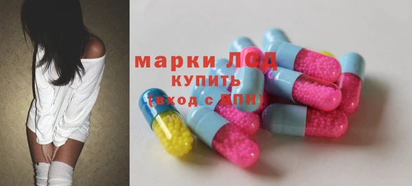 ГАЛЛЮЦИНОГЕННЫЕ ГРИБЫ Абаза