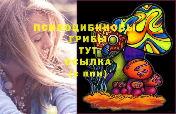 бутират Алзамай