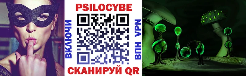 Псилоцибиновые грибы Cubensis  купить наркотики цена  Отрадная 